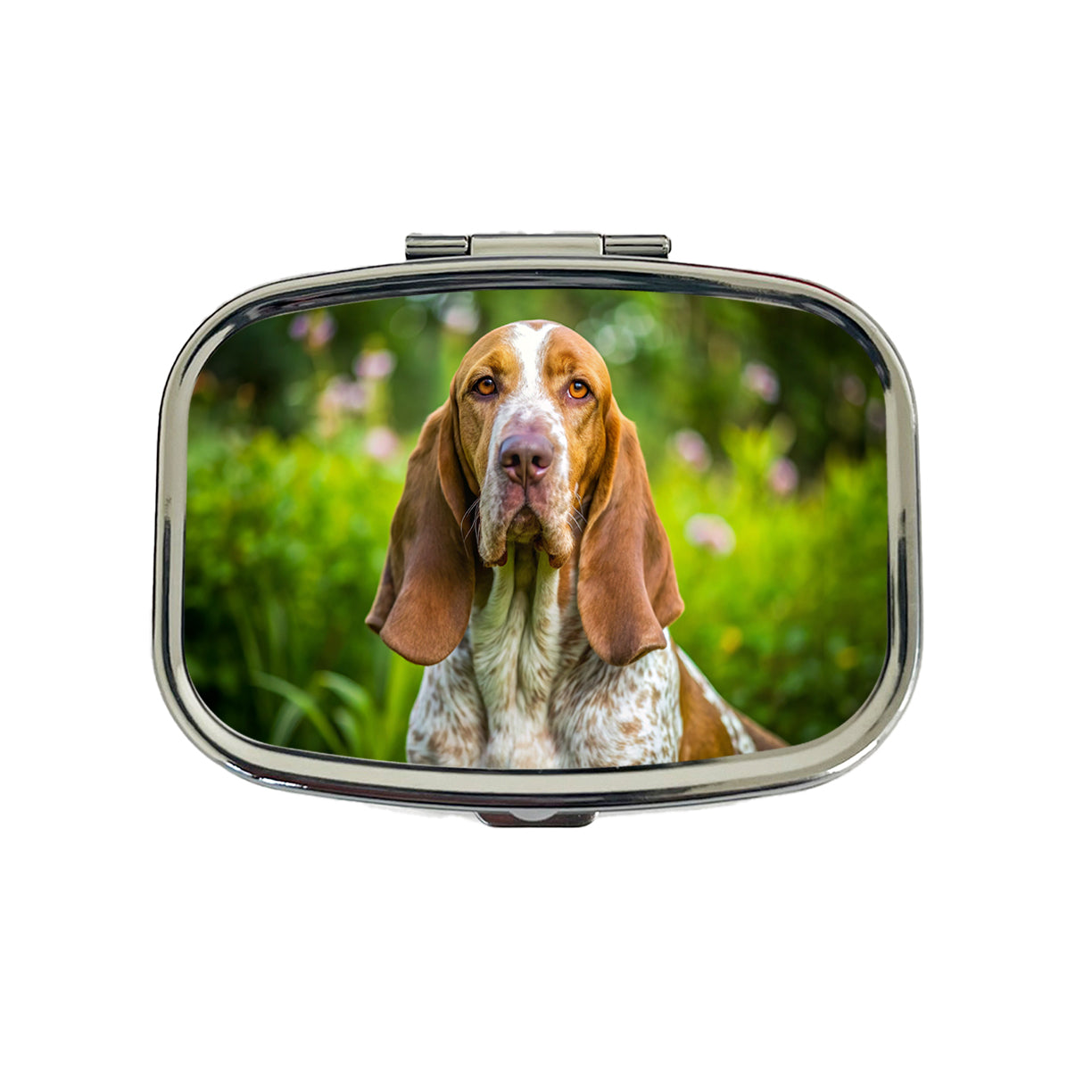 Bracco Italiano Dog Photo Travel Pill Box Case