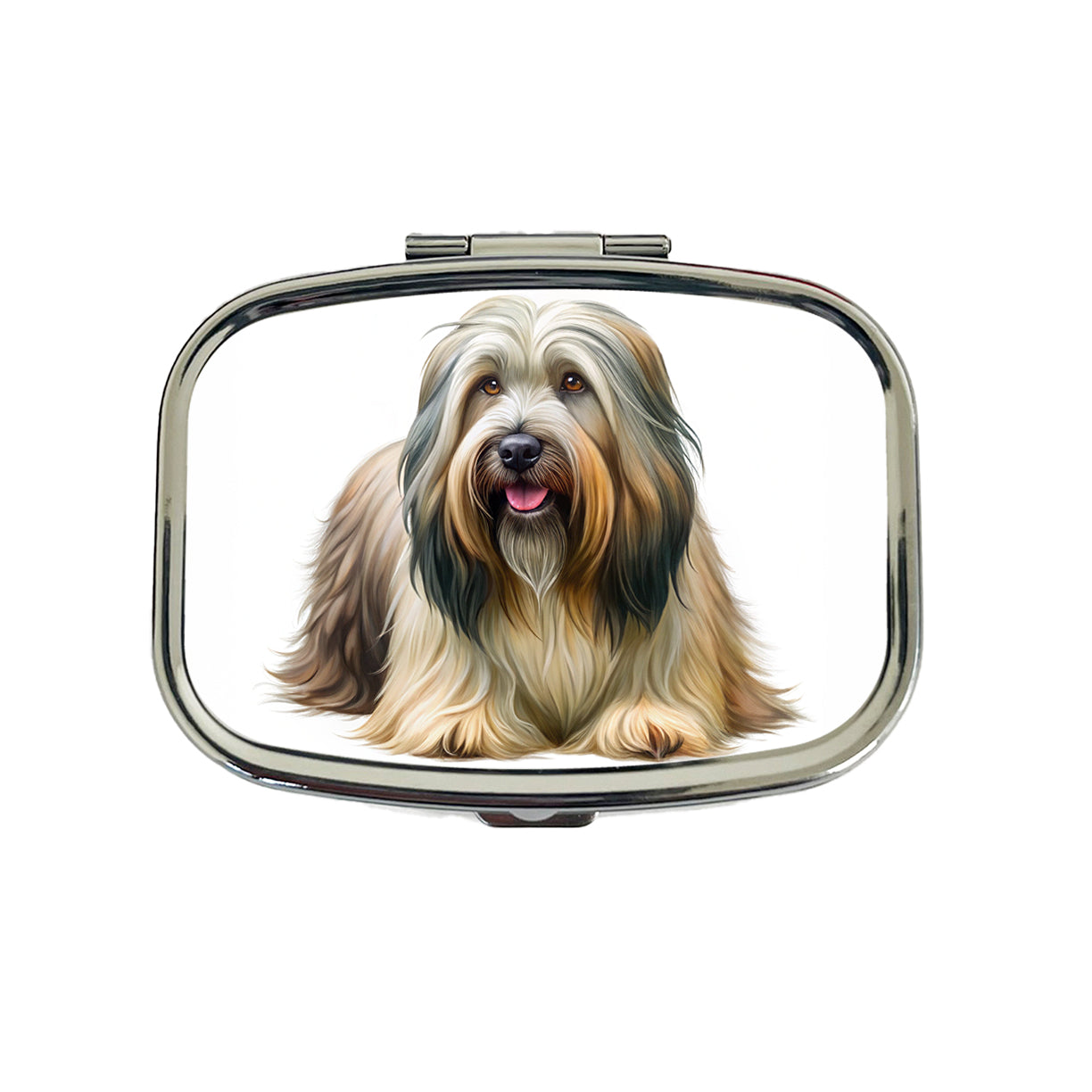Briard Dog Illustration Travel Pill Box Case