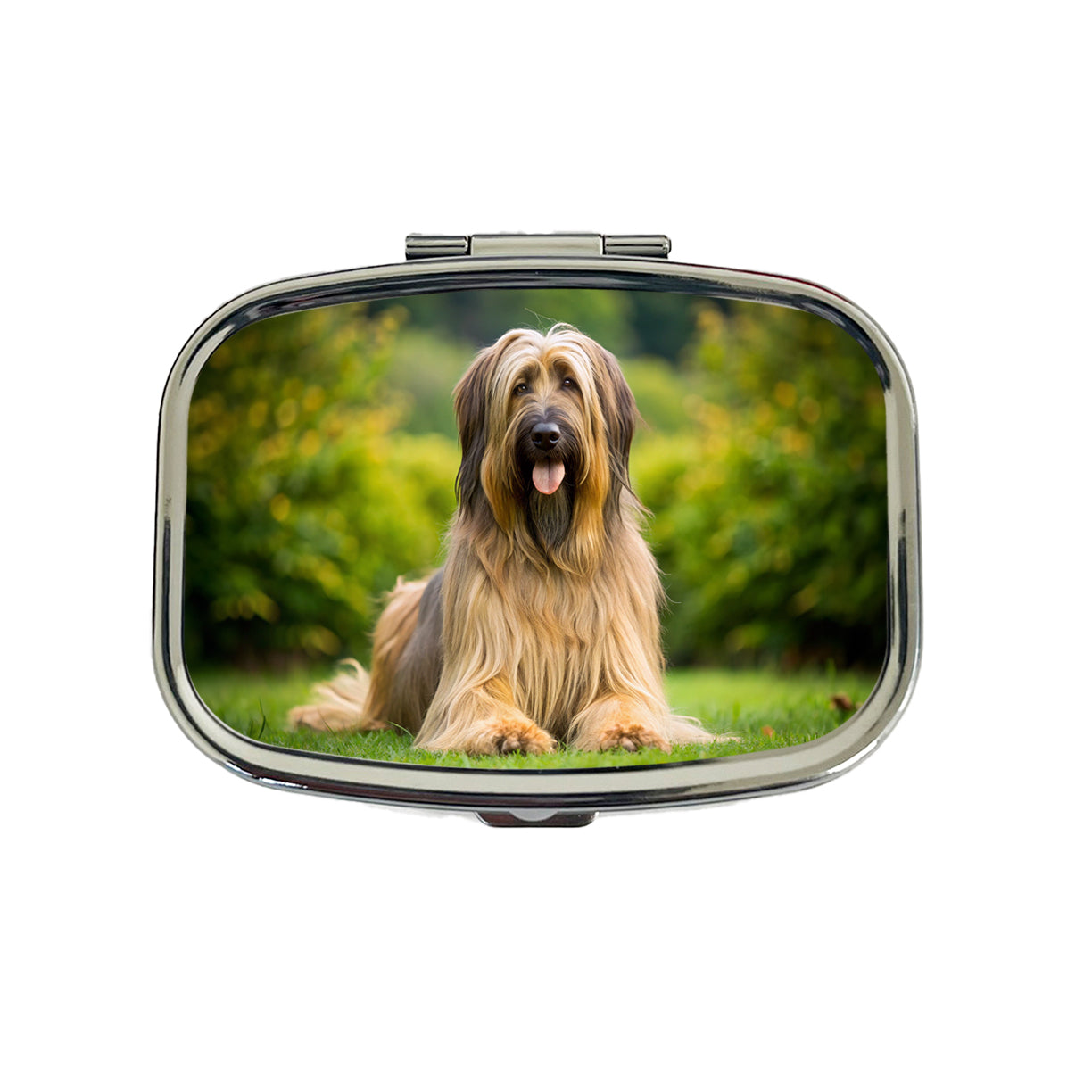 Briard Dog Photo Travel Pill Box Case