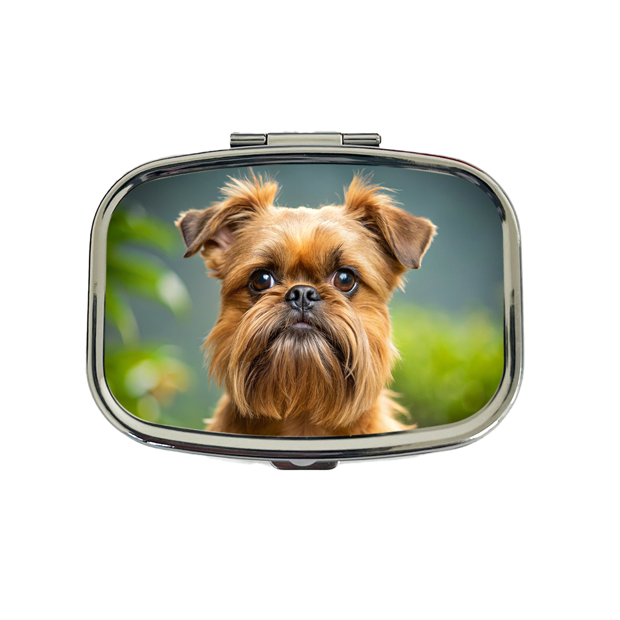 Brussels Griffon Dog Photo Travel Pill Box Case