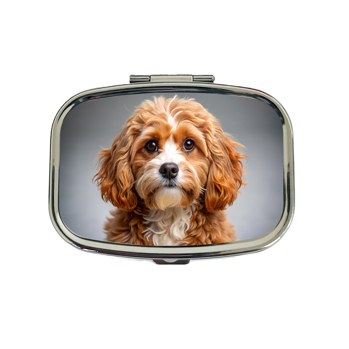 Cavapoo Dog Photo Travel Pill Box Case
