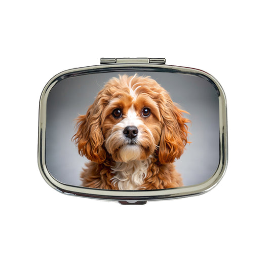 Cavapoo Dog Photo Travel Pill Box Case