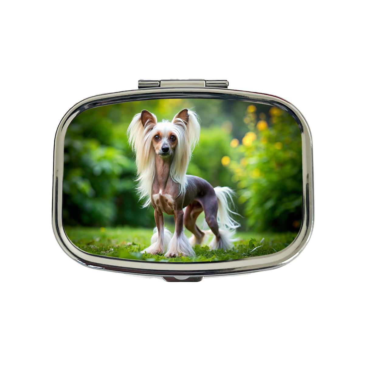 Chinese Crested Dog Photo Travel Pill Box Case
