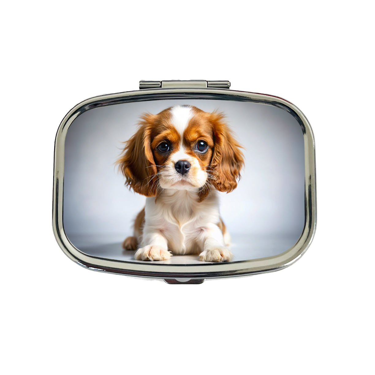 English Toy Spaniel Dog Puppy Photo Travel Pill Box Case