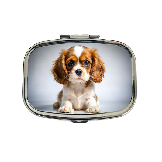 English Toy Spaniel Dog Puppy Photo Travel Pill Box Case