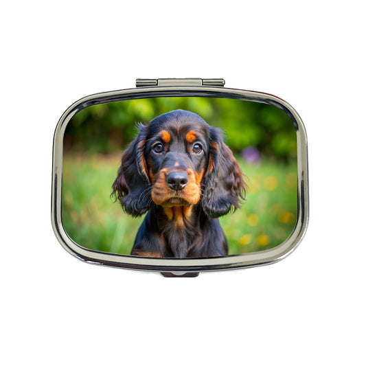 Gordon Setter Dog Puppy Photo Travel Pill Box Case