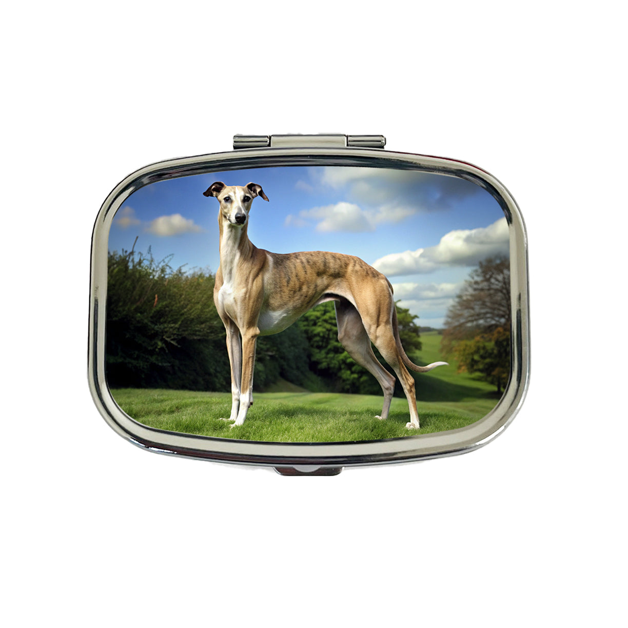 Greyhound Dog Photo Travel Pill Box Case