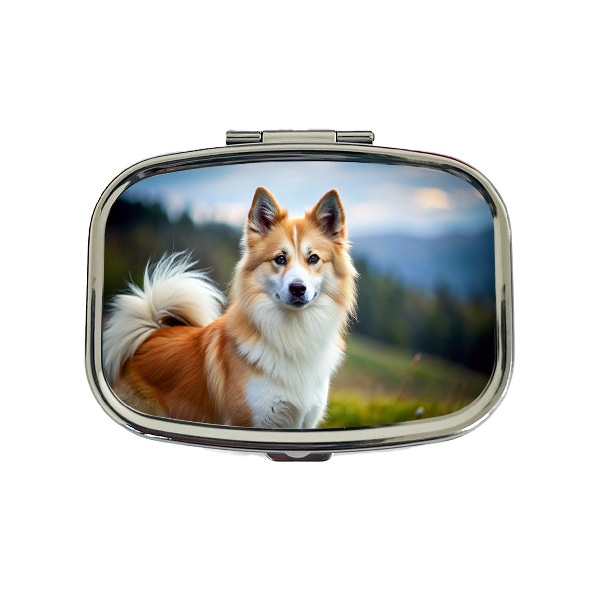 Icelandic Sheepdog Dog Photo Travel Pill Box Case