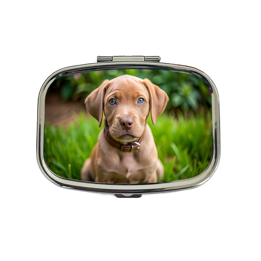 Labrabull Dog Puppy Photo Travel Pill Box Case