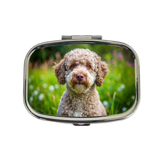 Lagotto Romagnolo Dog Photo Travel Pill Box Case