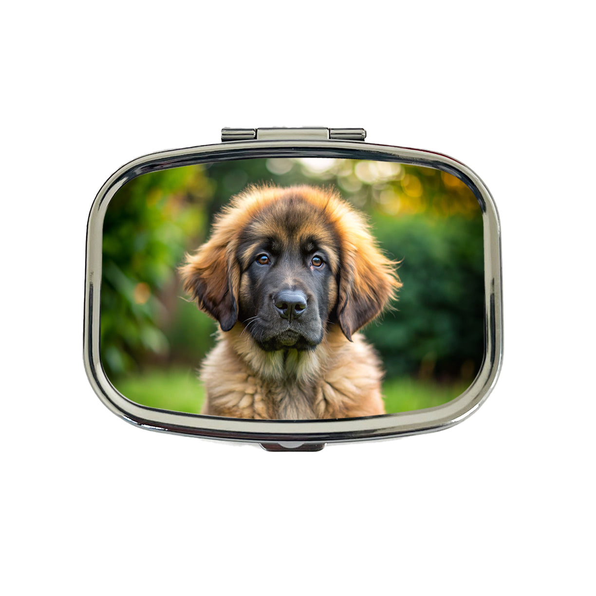 Leonberger Dog Puppy Photo Travel Pill Box Case