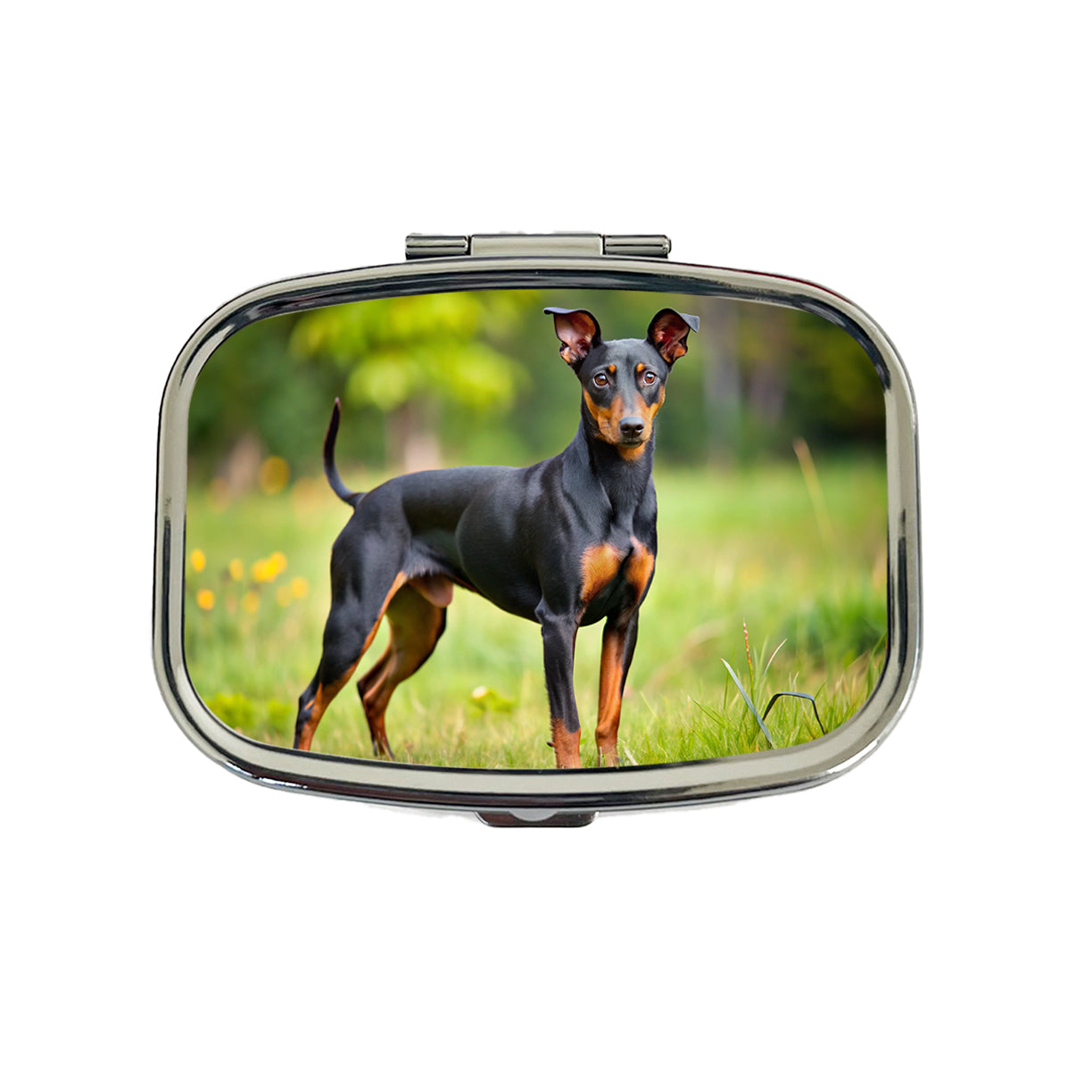 Manchester Terrier Dog Photo Travel Pill Box Case