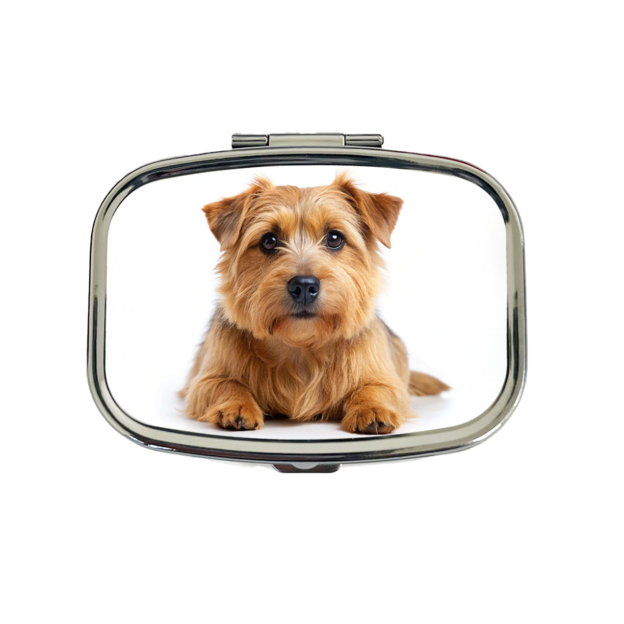 Norfolk Terrier Dog Photo Travel Pill Box Case