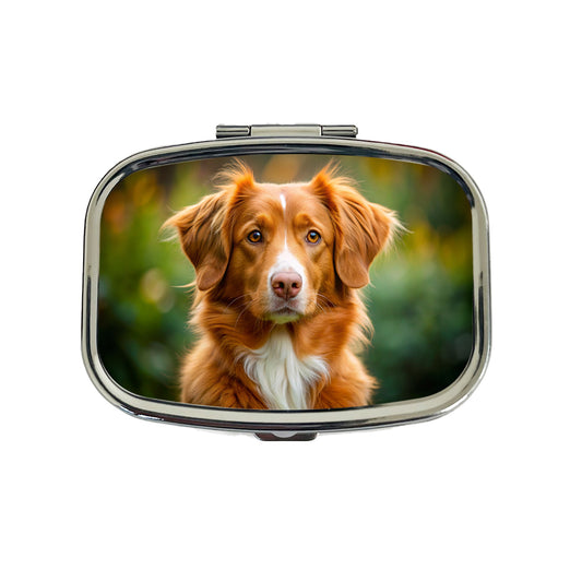 Nova Scotia Duck Tolling Retriever Dog Photo Travel Pill Box Case