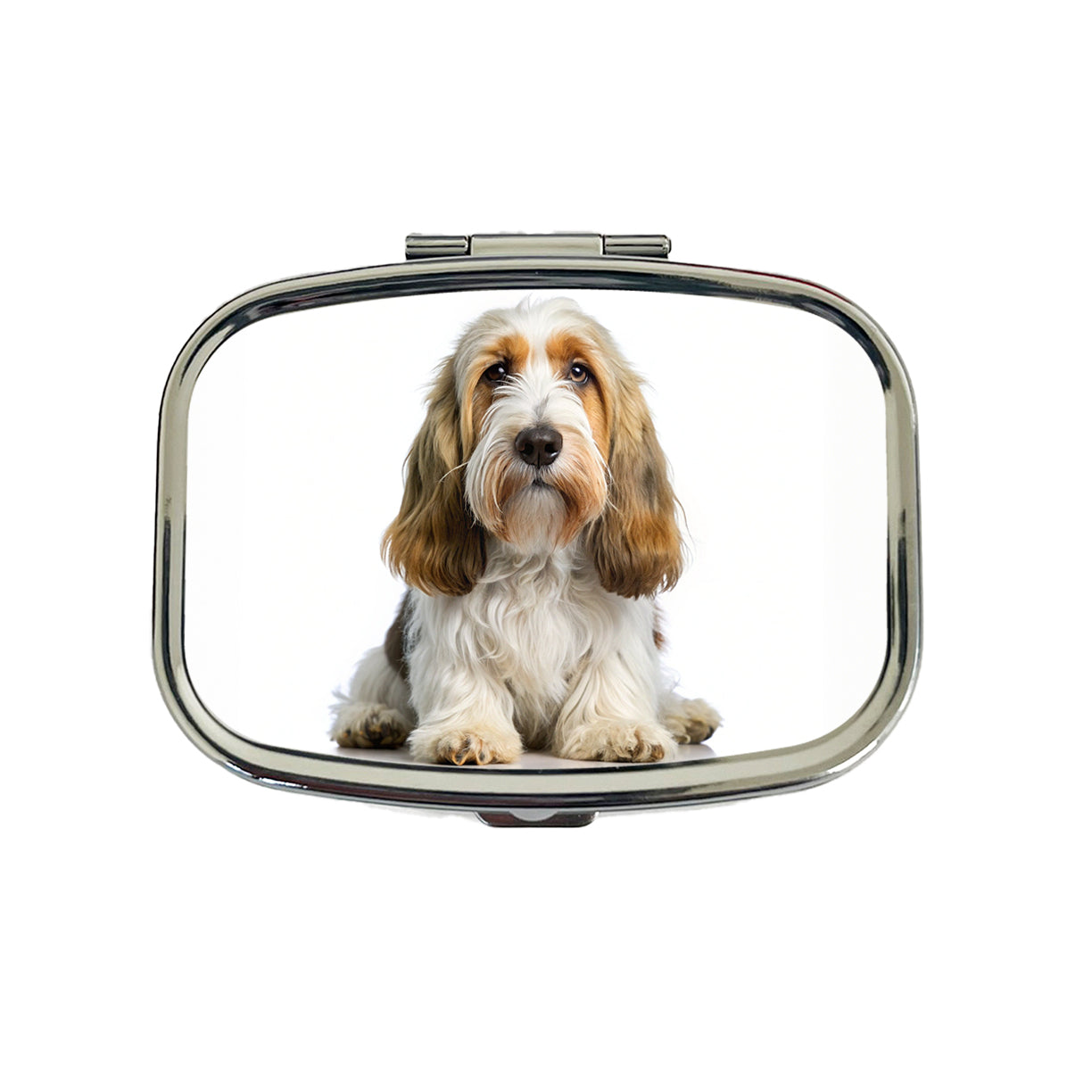 Petit Basset Griffon Vendeen Dog Photo Travel Pill Box Case