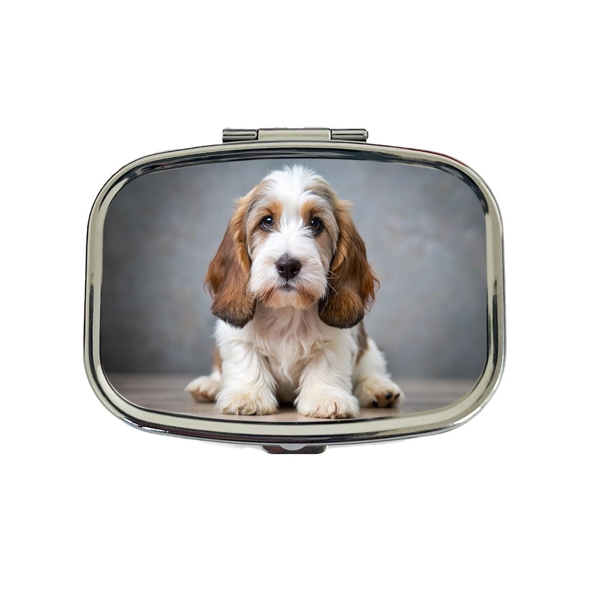 Petit Basset Griffon Vendeen Dog Puppy Photo Travel Pill Box Case