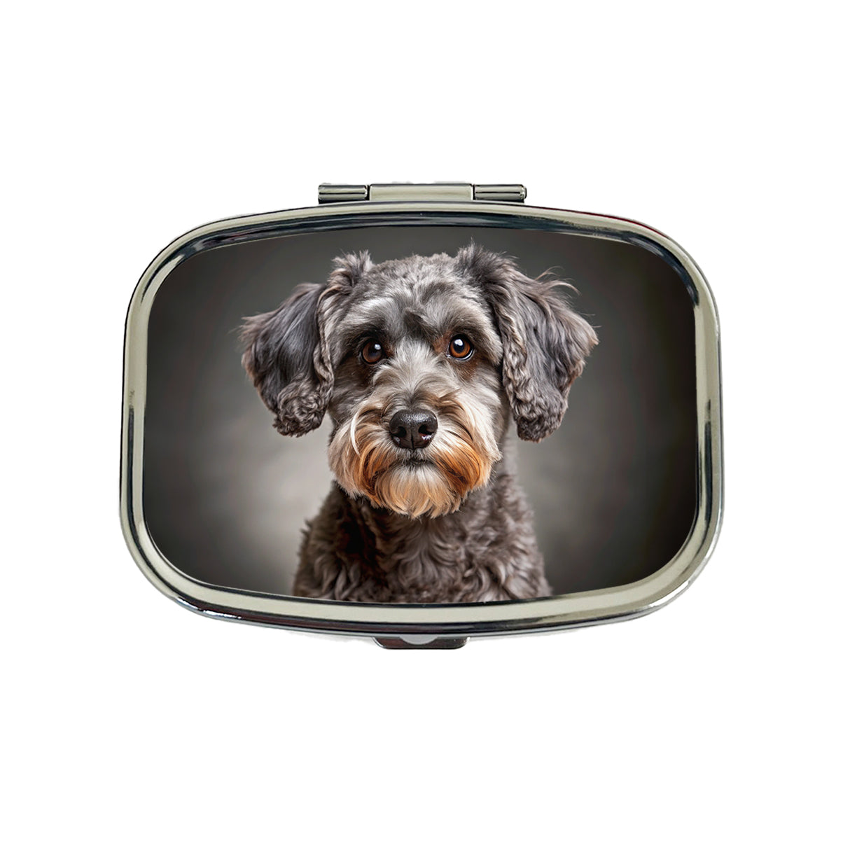 Schnoodle Dog Photo Travel Pill Box Case