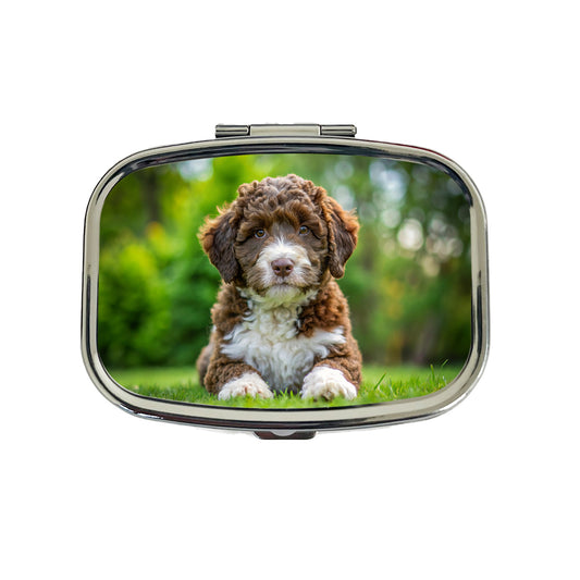 Spanish Water Dog Puppy Photo Travel Pill Box Case