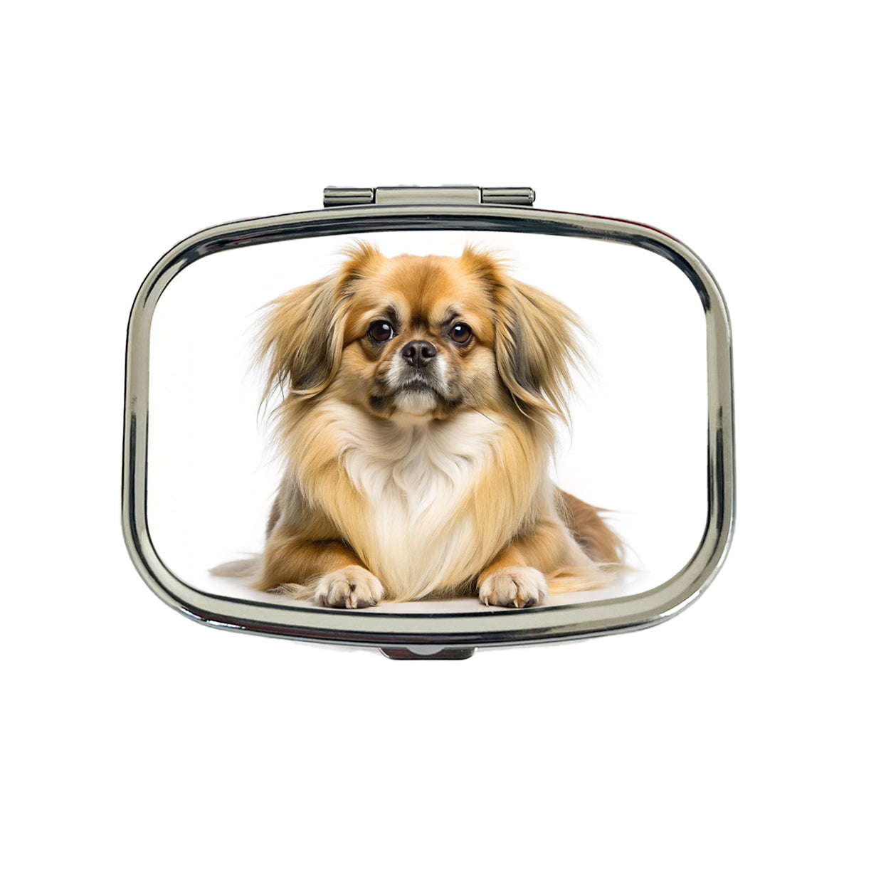 Tibetan Spaniel Dog Photo Travel Pill Box Case