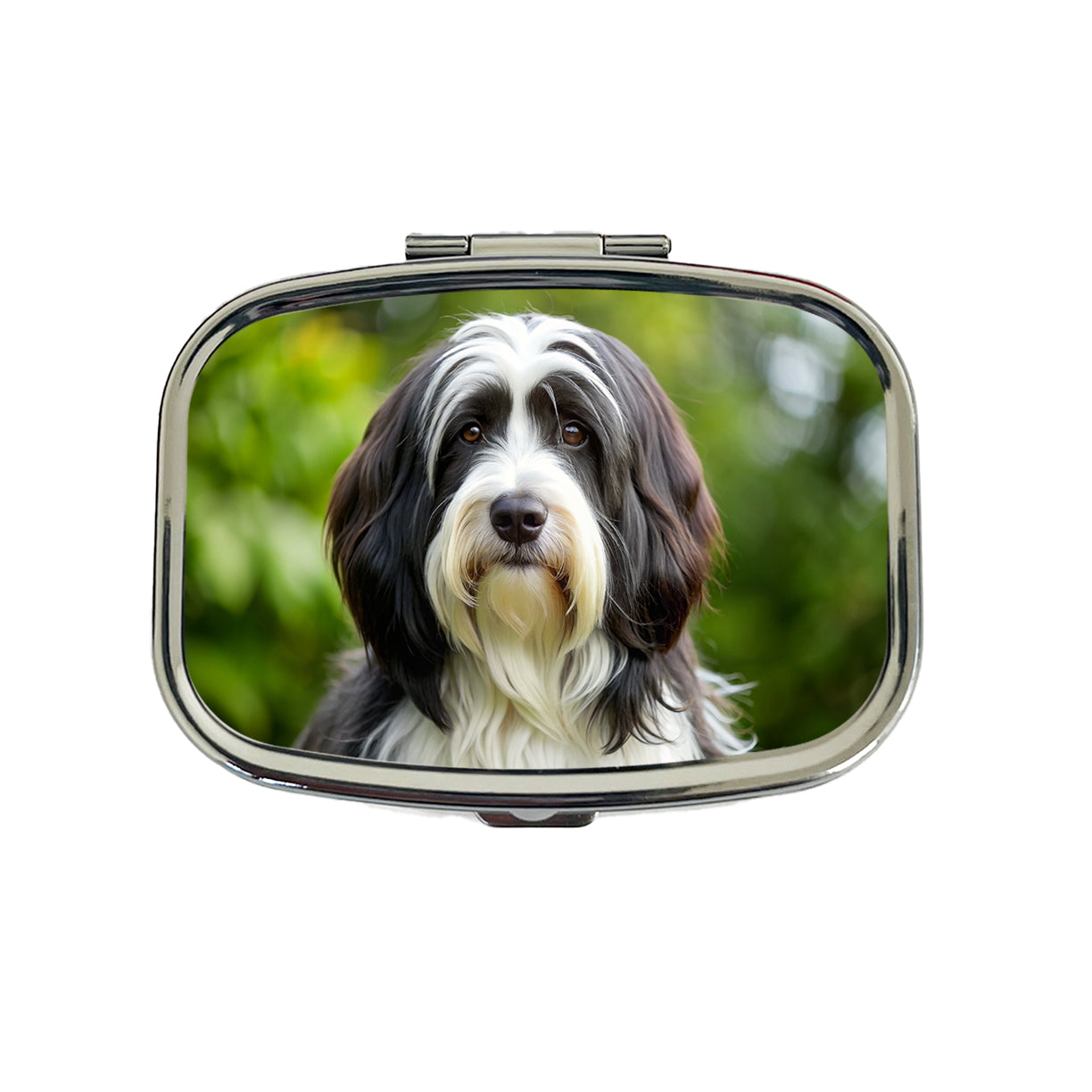 Tibetan Terrier Dog Photo Travel Pill Box Case