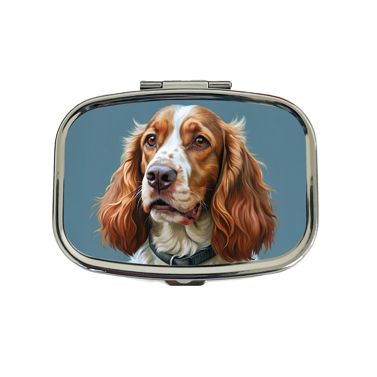 Welsh Springer Spaniel Dog Illustration Travel Pill Box Case