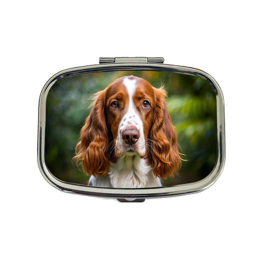 Welsh Springer Spaniel Dog Photo Travel Pill Box Case