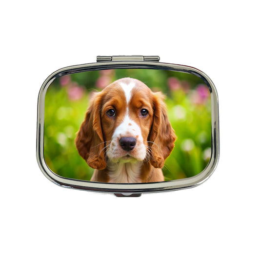 Welsh Springer Spaniel Dog Puppy Photo Travel Pill Box Case