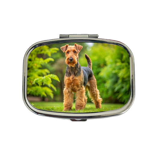 Welsh Terrier Dog Photo Travel Pill Box Case