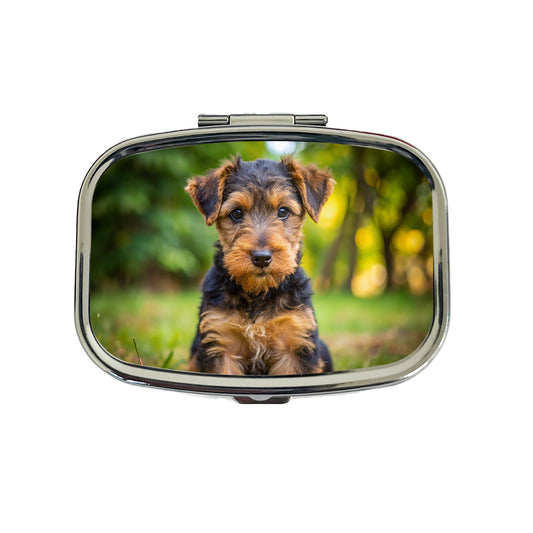 Welsh Terrier Dog Puppy Photo Travel Pill Box Case