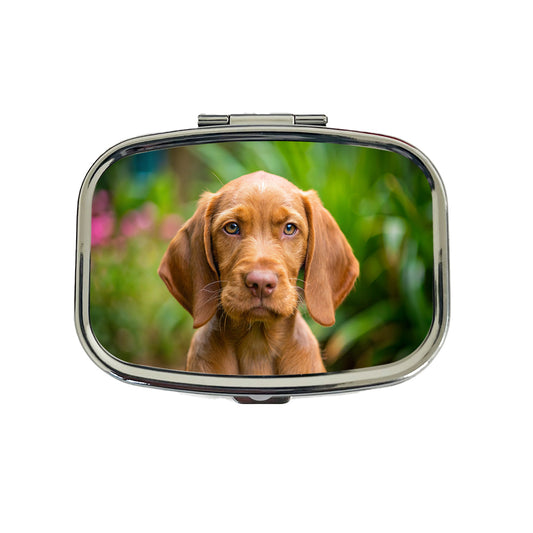 Wirehaired Vizsla Dog Puppy Photo Travel Pill Box Case