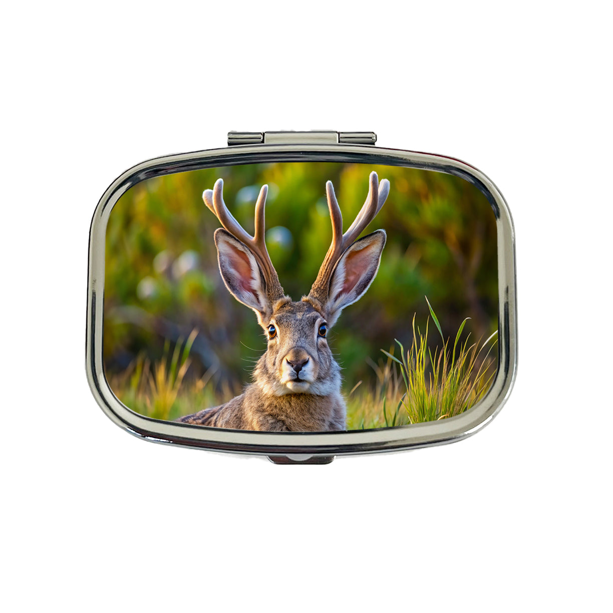 Jackalope In The Wild Travel Pill Box Case