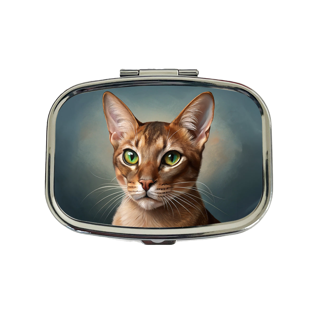 Abyssinian Cat Illustration Travel Pill Box Case