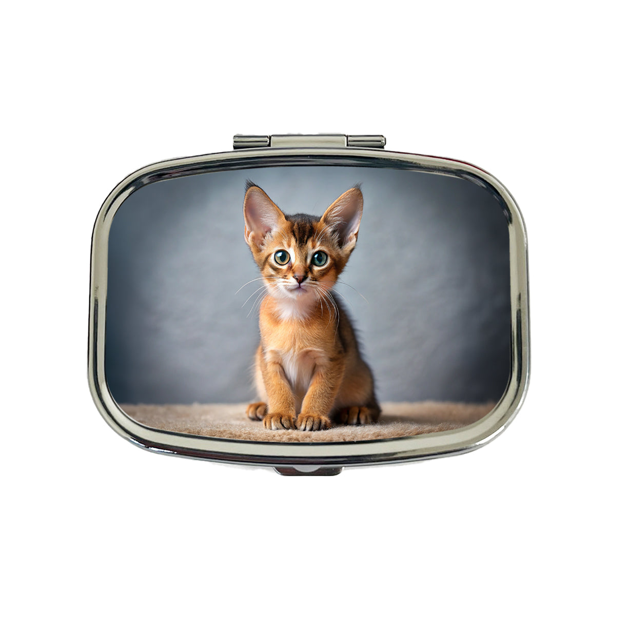Abyssinian Cat Kitten Photo Travel Pill Box Case