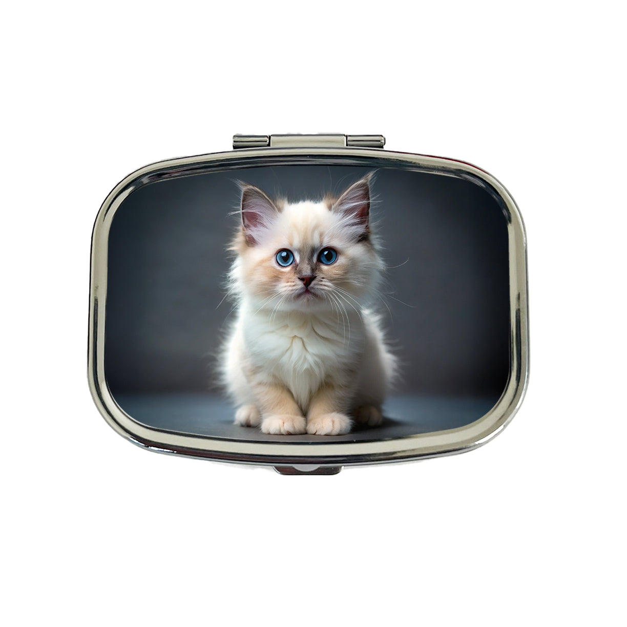 Birman Cat Kitten Photo Travel Pill Box Case