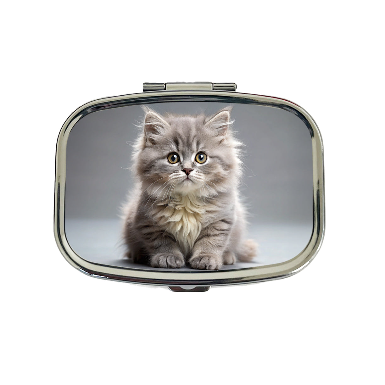 British Longhair Gray Cat Kitten Photo Travel Pill Box Case