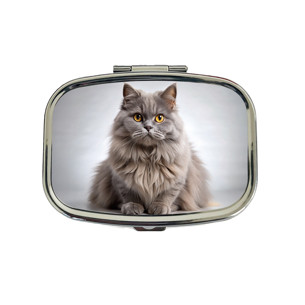 British Longhair Gray Cat Photo Travel Pill Box Case