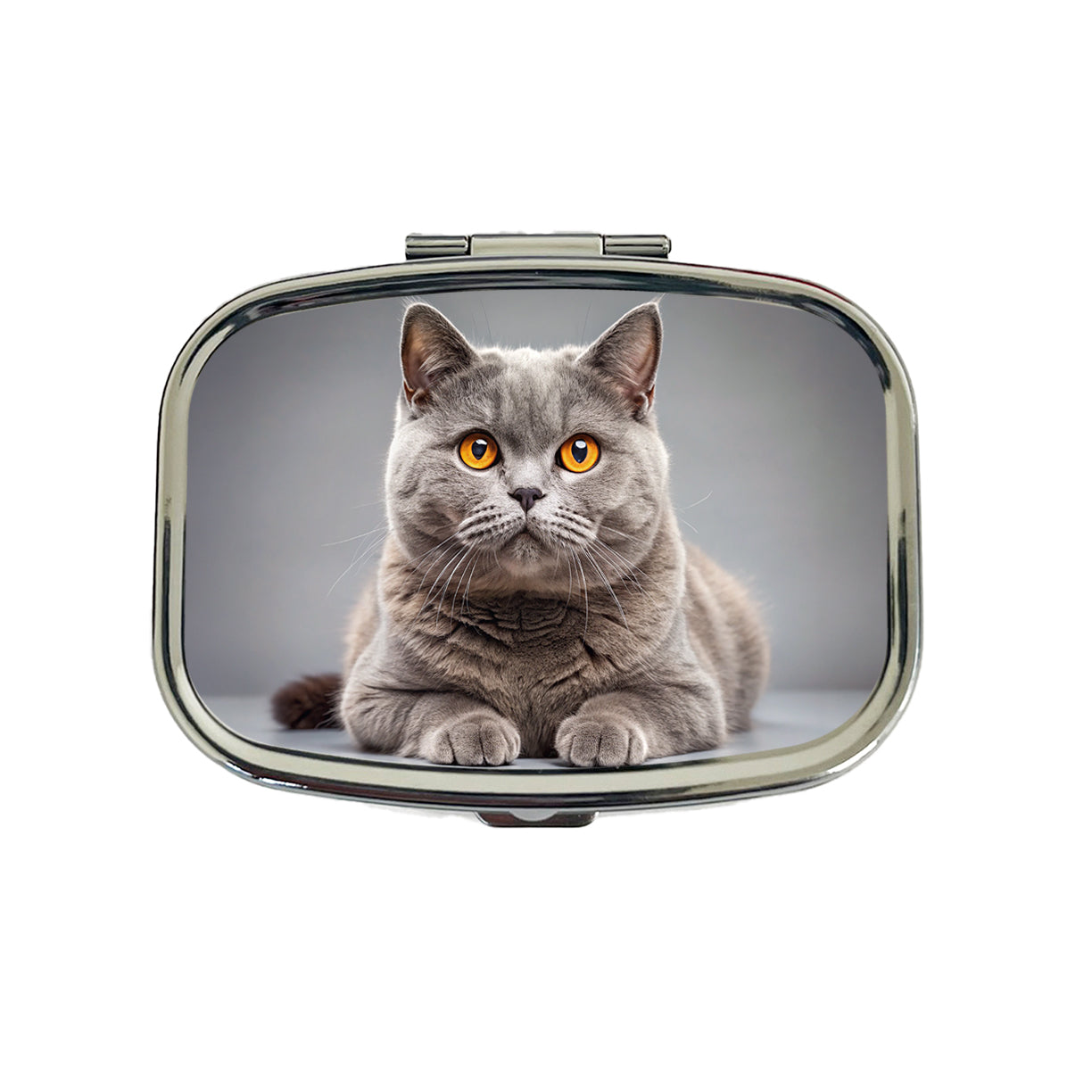 British Shorthair Gray Cat Photo Travel Pill Box Case