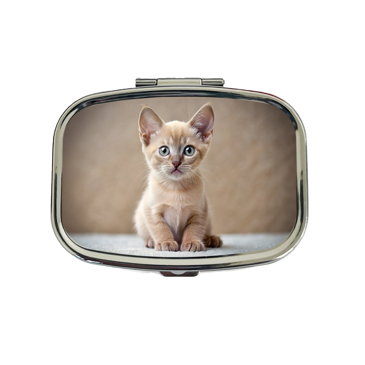 Burmese Cat Kitten Photo Travel Pill Box Case