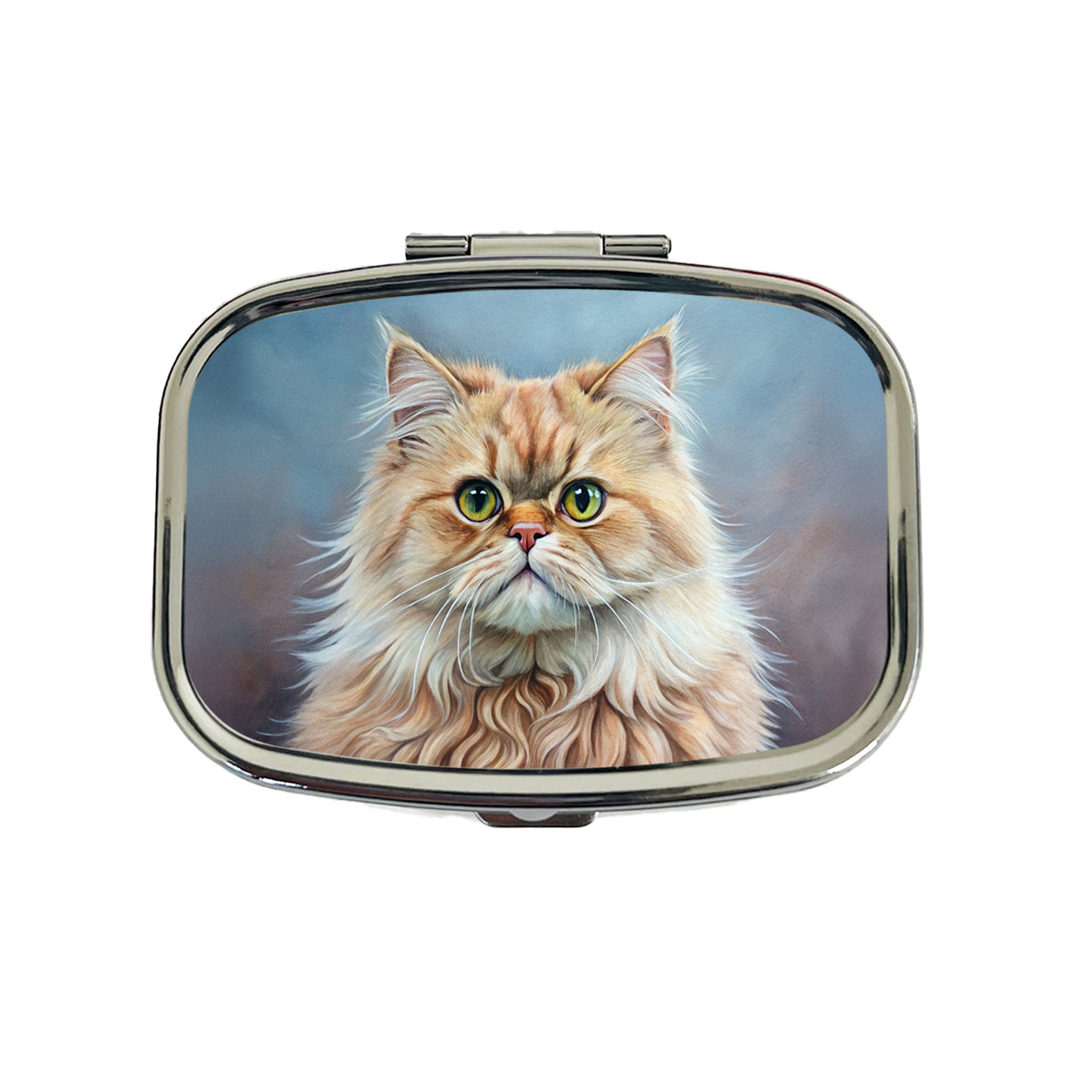 Classic Persian Cat Illustration Travel Pill Box Case