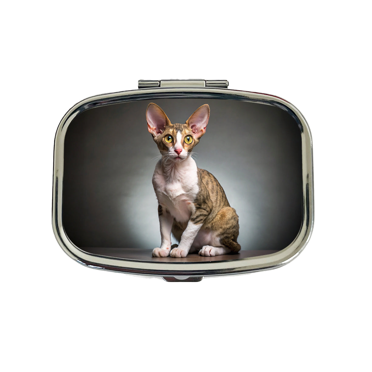 Cornish Rex Cat Photo Travel Pill Box Case