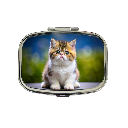 Exotic Shorthair Cat Kitten Photo Travel Pill Box Case
