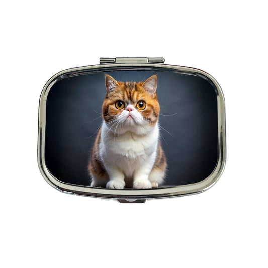 Exotic Shorthair Cat Photo Travel Pill Box Case
