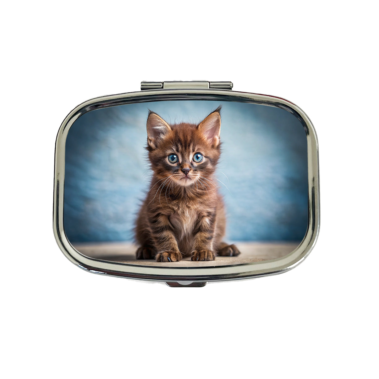 Havana Brown Cat Kitten Photo Travel Pill Box Case