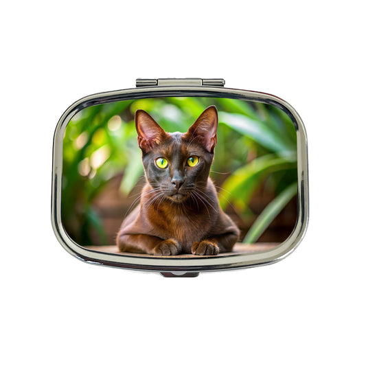 Havana Brown Cat Photo Travel Pill Box Case