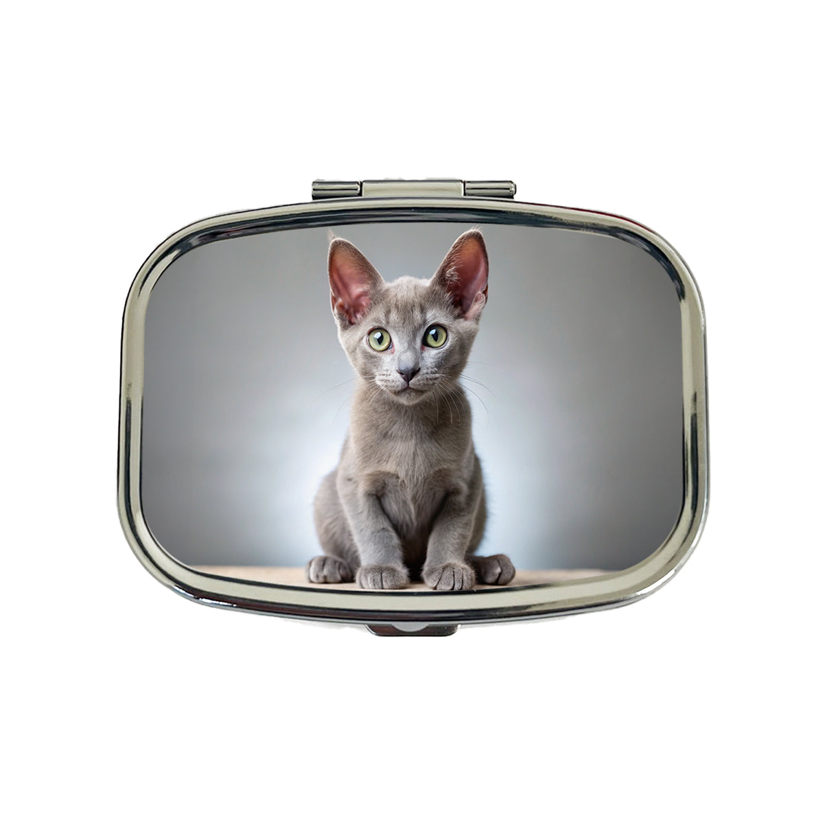 Korat Cat Kitten Photo Travel Pill Box Case