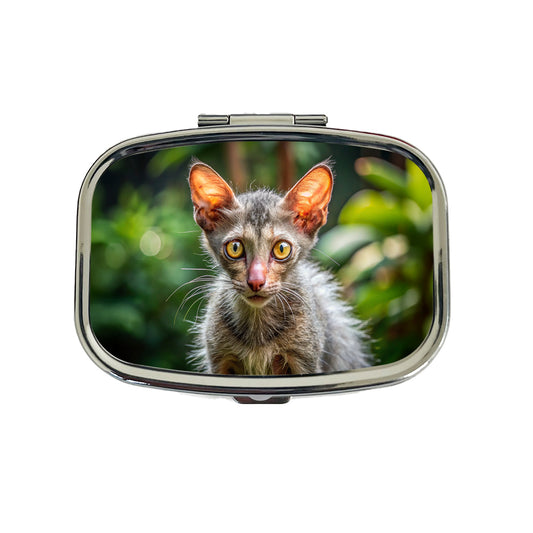 Lykoi Wolf Cat Photo Travel Pill Box Case