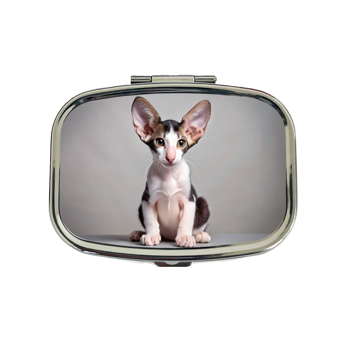 Oriental Shorthair Black White Cat Kitten Photo Travel Pill Box Case