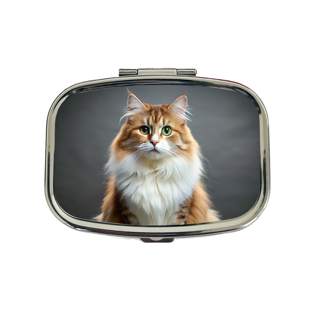Ragamuffin Cat Photo Travel Pill Box Case