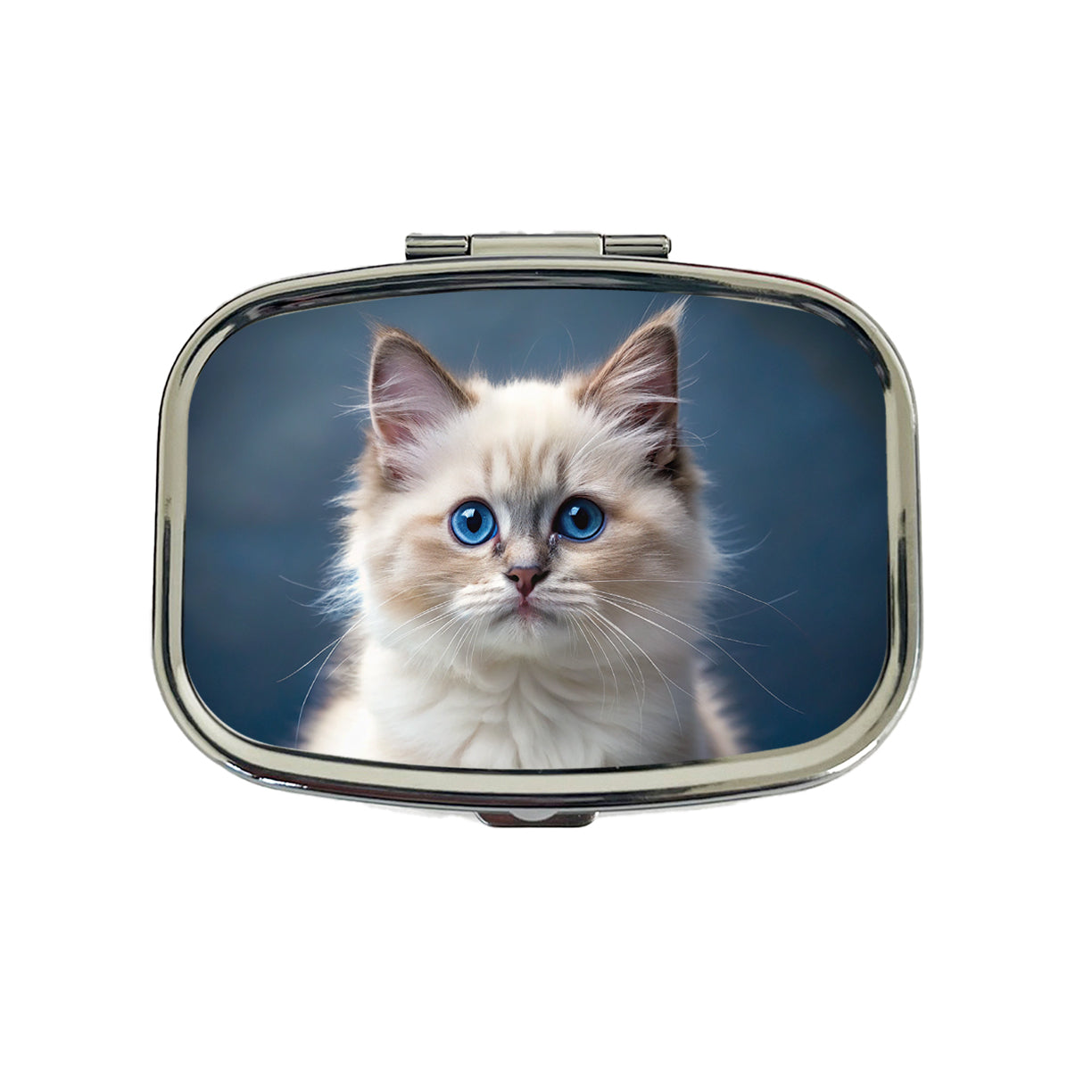 Ragdoll Cat Kitten Photo Travel Pill Box Case