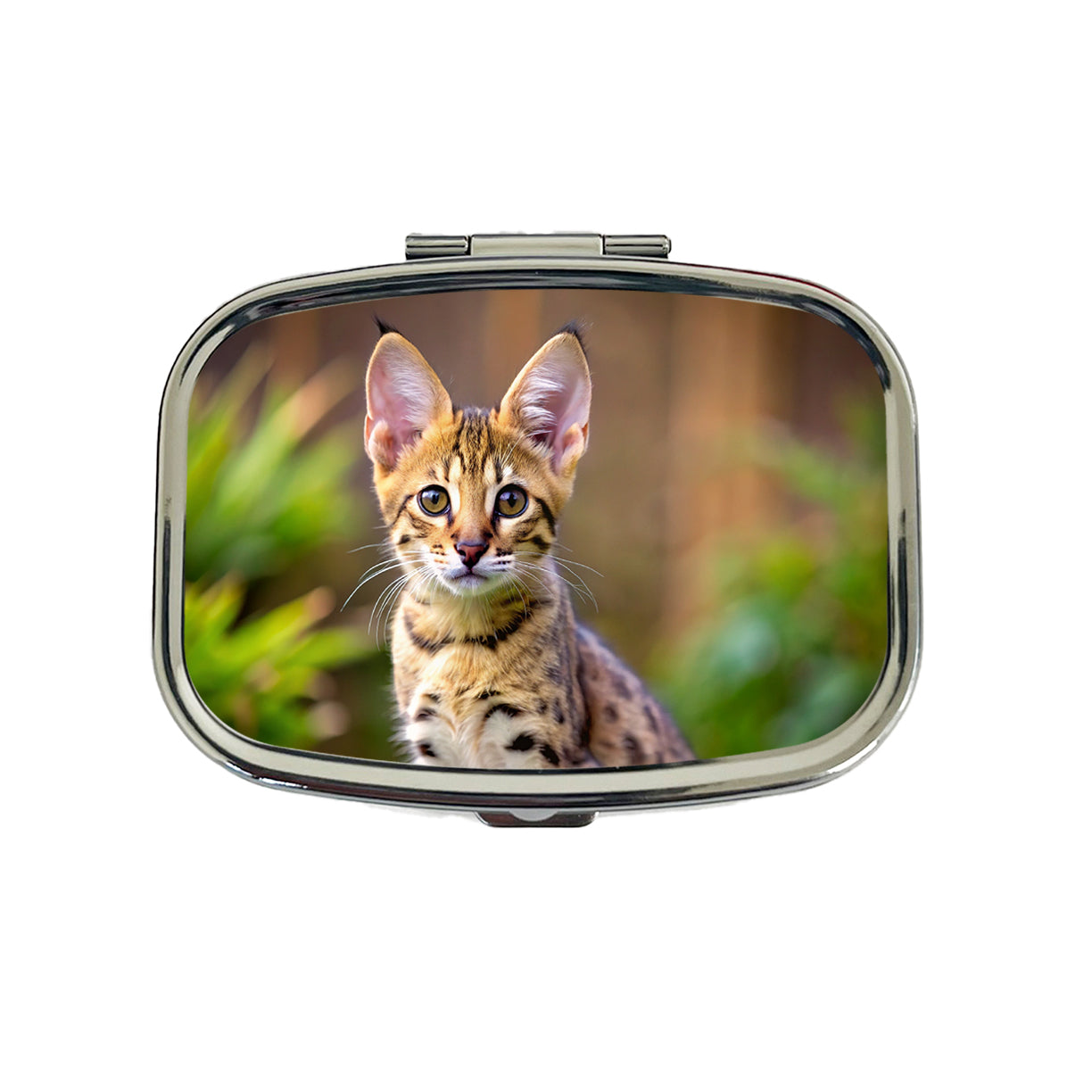 Savannah Cat Kitten Photo Travel Pill Box Case
